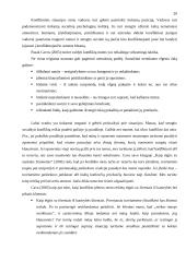 Konfliktai: priežastys, eiga ir pasekmės 20 puslapis