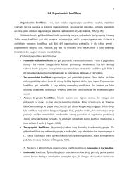 Konfliktai: priežastys, eiga ir pasekmės 8 puslapis