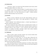 Praktikos darbas: prekyba padangomis, alyvomis, tepalais, ratlankiais, automobiliais, šaldytais mėsos produktais IĮ "Egzotika" 11 puslapis