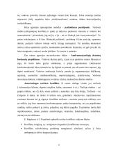 Konfliktų valdymas ir konflikto sprendimo algoritmas 7 puslapis