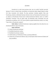 Konstitucijos samprata: pagrindinis valstybės įstatymas ir konstitucinė doktrina 3 puslapis