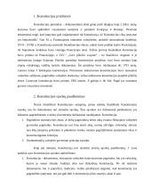 Konstitucijos samprata: pagrindinis valstybės įstatymas ir konstitucinė doktrina 4 puslapis