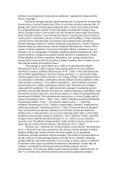 Konstitucinės teisės samprata Lietuvoje 11 puslapis