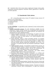 Konstitucinės teisės samprata Lietuvoje 4 puslapis