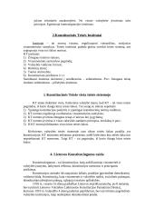 Konstitucinės teisės samprata Lietuvoje 5 puslapis