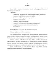 Profesinės veiklos praktikos ataskaita: betono gaminių gamyba, akmens pjaustymas, formavimas ir apdaila Jono Kugio IĮ 3 puslapis