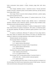 Profesinės veiklos praktikos ataskaita: betono gaminių gamyba, akmens pjaustymas, formavimas ir apdaila Jono Kugio IĮ 7 puslapis