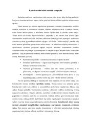 Konstitucinės teisės normos 4 puslapis