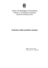 Profesinės veiklos praktikos ataskaita: buitinių prietaisų gamykla