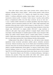 Profesinės veiklos praktikos ataskaita: buitinių prietaisų gamykla 3 puslapis