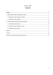 Konstitucinės teisės samprata ir ypatumai 2 puslapis