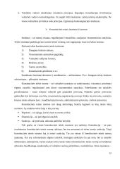 Konstitucinės teisės samprata ir ypatumai 15 puslapis