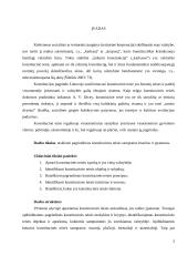 Konstitucinės teisės samprata ir ypatumai 3 puslapis