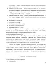 Konstitucinės teisės samprata ir ypatumai 6 puslapis