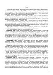 Konstitucinės žmogaus teisės ir laisvės 2 puslapis