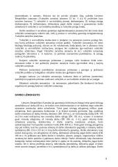 Konstitucinės žmogaus teisės ir laisvės 11 puslapis