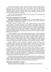 Konstitucinės žmogaus teisės ir laisvės 8 puslapis