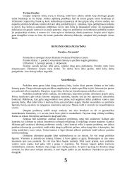 Socialinio darbo pradinės praktikos ataskaita: Vš.Į. Utenos PSPC, Psichikos sveikatos centras 5 puslapis