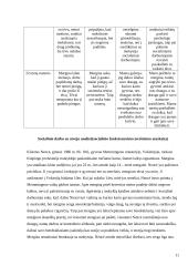 Socialinio darbo praktika: Vokietijos Kolpingo profesinė mokykla 11 puslapis