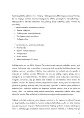 Socialinio darbo praktika: Vokietijos Kolpingo profesinė mokykla 3 puslapis