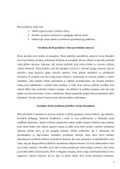 Socialinio darbo praktika: Vokietijos Kolpingo profesinė mokykla 5 puslapis