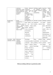 Socialinio darbo praktika: Vokietijos Kolpingo profesinė mokykla 9 puslapis