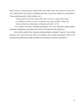 Kritinė analizė: A. Kamiu "Svetimas" 12 puslapis