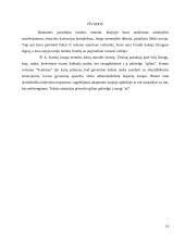 Kritinė analizė: A. Kamiu "Svetimas" 13 puslapis