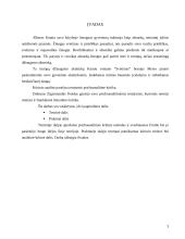 Kritinė analizė: A. Kamiu "Svetimas" 3 puslapis