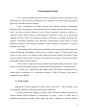 Kritinė analizė: A. Kamiu "Svetimas" 4 puslapis