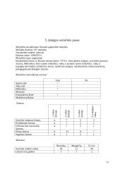 Socio–edukacinio darbo mokomosios praktikos ataskaita: Jonavos rajono Barupės pagrindinė mokykla 13 puslapis