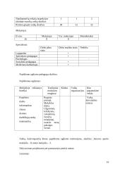 Socio–edukacinio darbo mokomosios praktikos ataskaita: Jonavos rajono Barupės pagrindinė mokykla 14 puslapis