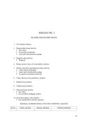 Socio–edukacinio darbo mokomosios praktikos ataskaita: Jonavos rajono Barupės pagrindinė mokykla 19 puslapis