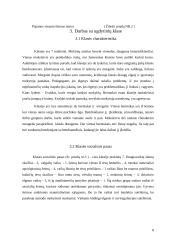 Socio–edukacinio darbo mokomosios praktikos ataskaita: Jonavos rajono Barupės pagrindinė mokykla 8 puslapis