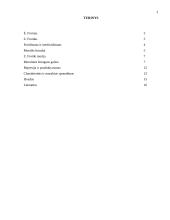 Kultūra kaip individo ir aplinkos konflikto padarinys 2 puslapis