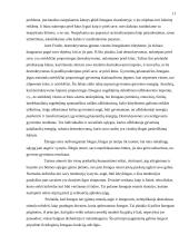 Kultūra kaip individo ir aplinkos konflikto padarinys 11 puslapis