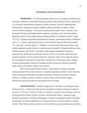 Kultūra kaip individo ir aplinkos konflikto padarinys 4 puslapis