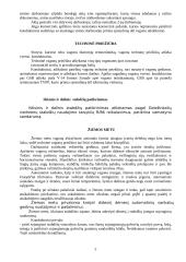 Stočių darbo technologija 4 puslapis