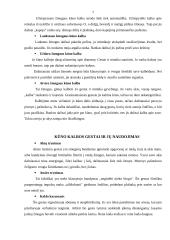 Psichologijos savarankiškas darbas - kūno kalba 7 puslapis