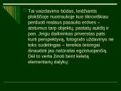 Fotografijos pagrindai 14 puslapis