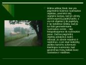 Fotografijos pagrindai 18 puslapis