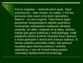 Fotografijos pagrindai 20 puslapis