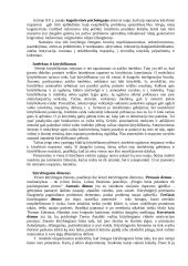 Kūrybingumas 2 puslapis