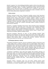 Kūrybingumas 4 puslapis