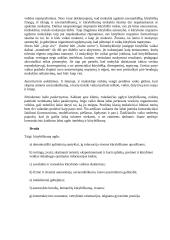 Kūrybingumas 5 puslapis