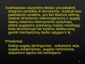 Sausinimas 2 puslapis
