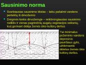 Sausinimas 11 puslapis