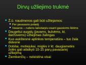 Sausinimas 13 puslapis