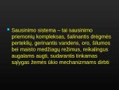 Sausinimas 16 puslapis