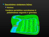 Sausinimas 17 puslapis